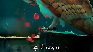 Hazrat imam Hussain aur ullu ka waqia,_karbala me ullu ne jab waqia Karbala dakha___