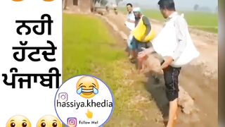 Comedy video