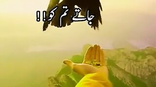 Best video
