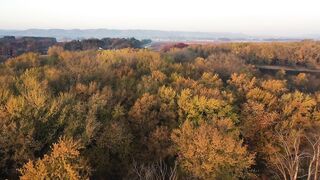 Nature buety