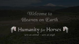 Welcome Heaven on Earth