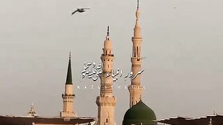 سرور انبیاء صلی اللہ علیہ والہ وسلم