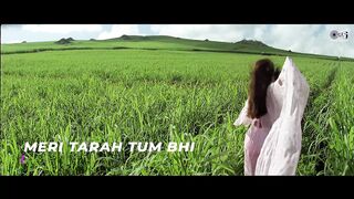 Meri Tarah Tum Bhi Kabhi Pyar Karke Dekho Na X Zara Dekh Mera Deewanapan _ Hindi Songs _ Love Songs(1080P_HD)