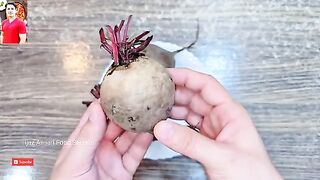 HASHTAGS (for SEO & Reach):*   #BeetrootJuice #ImmunityBooster #DetoxDrink #HealthyJuice  #NaturalDetox #NoSugar