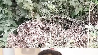 ???? Trending Dank Memes Latest Viral Instagram Reels Youtube Shorts