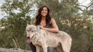 Original one girl one wolf viral video one girl one wolf trending video link