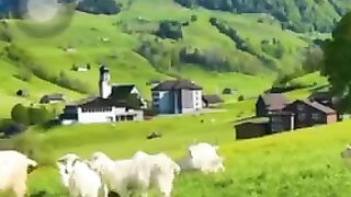 Nature Of Beauty