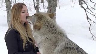 Full Video: one girl one wolf one girl one frog toto22 dark web one girl one wolf video