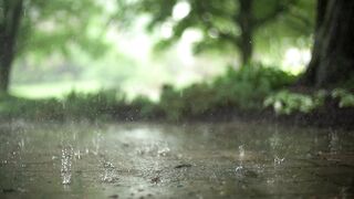 Raindrops in  Slow Motion