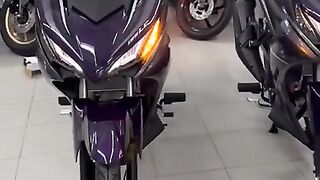 Nice bick