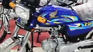 Nice bick
