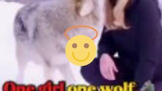 Trending wolf video one girl one wolf mms video & one girl one wolf viral video original