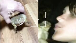 Link Original one girl one wolf viral video one girl one frog