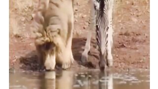 WATCH IT TILL END????????