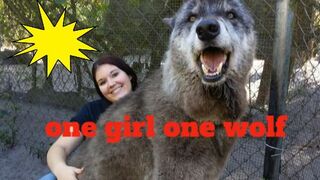 [ Clip 18++ ] one girl one wolf viral video original