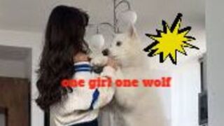 LIVE!! VIDEOS~]+] One girl one^ wolf Orginal Video Viral On Social Media X