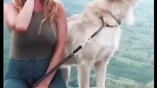 "Whispers of the Wild: The Girl and the Wolf*