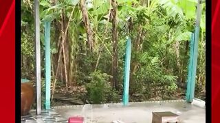 Bakar Bakar dengan menarik