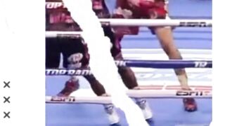 TERENCE CRAWFORD VS JOSE BENAVIDEZ
