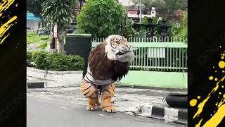 harimau malaya ????