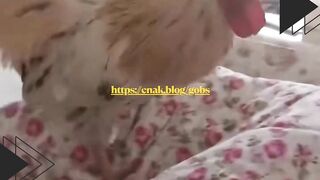 ???? AYAM INI GAK MAU KOMPROMI! ????️