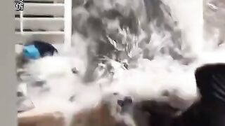 Disaster Video