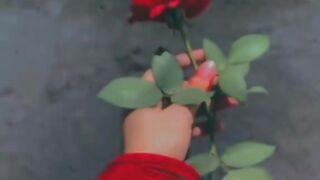 মানুষ কথা দেয় শুধুমাত্র মুহুর্ত সুন্দর করার জন্যে ????