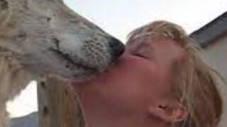 Viral@@ clip Video one girl one wolf viral twitter