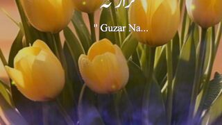 Zindagi Sabar Ke Sath Guzarna | Peer Ajmal Raza Qureshi Bayan | Kabhi Pe Sabre Na Banna