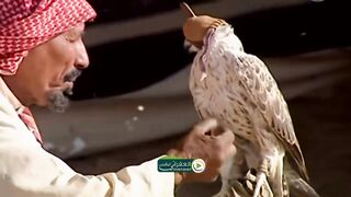 البدو في السعوديه The Bedouins in Saudi Arabia