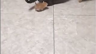 hug me mom