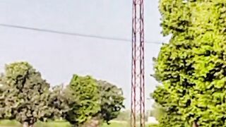 Greenery