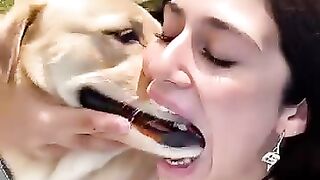 Fun doge
