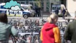 Viral [Koko] ylilauta pirkkala video alex mäki pirkkala puukotus manifesti video pirkkala koulupuukotus murhainfo reddit