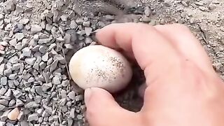 #viralvideo
