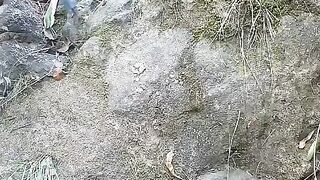 #viralvideo