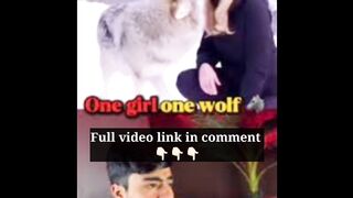 one girl one wolf viral video Link On Social Media X Trending Now