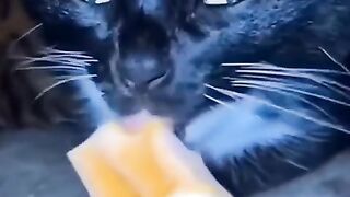 #FunVideo
