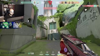 sacy insane chamber ace