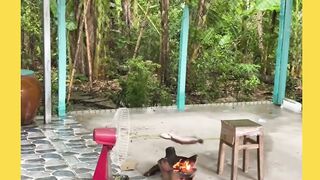 Ikan: “Mateng kagak, pusing iya... berasa dibikin sate sambil naik komidi puter