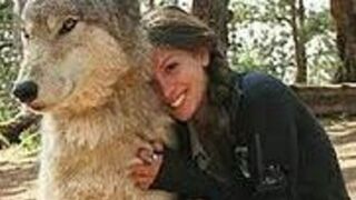 [ مکمل ویڈیو 18+ ] ONE GIRL ONE WOLF VIRAL VIDEO LINK