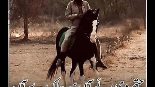 Munafak