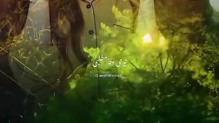 تیری وفا مطلبی