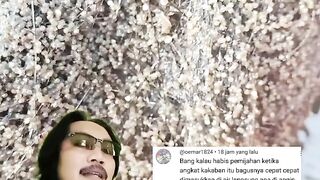 Telur lele yang ada di kakaban bagusnya di angin-angin kan atau langsung masuk kolam penetasan