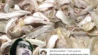 Berapa ketinggian air kolam disegmen pembesaran lele
