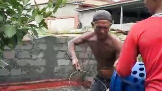 Jika tebar bibit lele ukuran 5-7cm butuh bak sortir berapa sampai panen