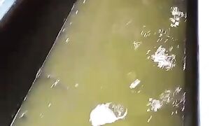 Ganti air kolam jangan nunggu air bau atau ikan lele menggantung