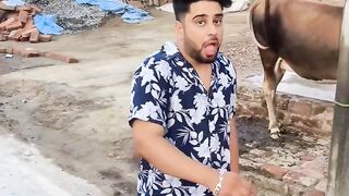 New reel comedy