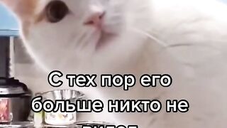 Юмор.Смех.Приколы. 39