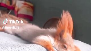 приколы, лучшие прикол 12